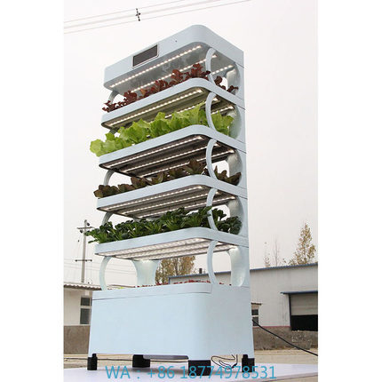 Smart Garden Indoor - arming Home Hydrocultuur kweeksystemen Nieuwe collectie